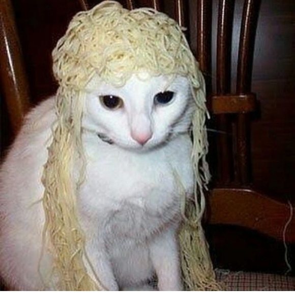 binchee
